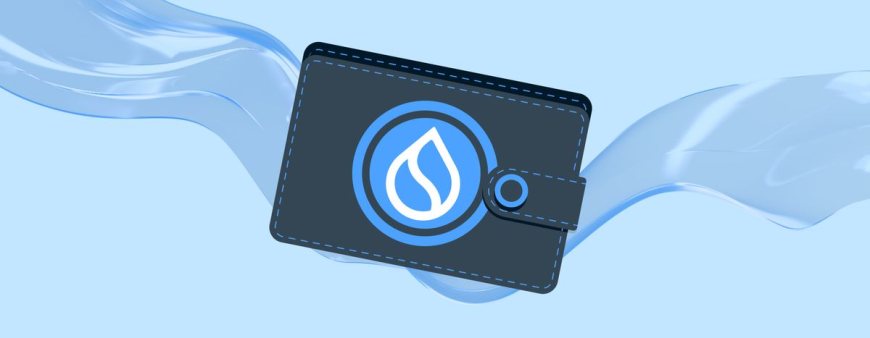 SUI wallet Are You Thinking About Integrating Sui Into Your Next Project?